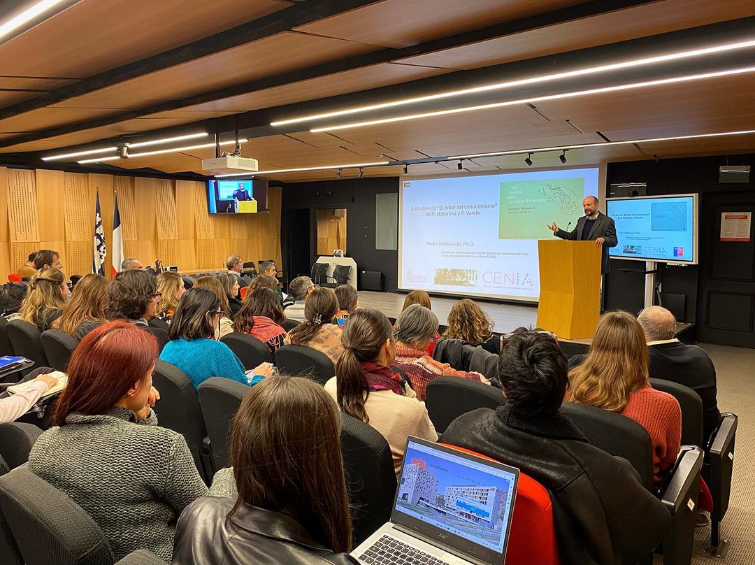 Inauguración del Año Académico 2024 Facultad de Psicología UDP: A 40 ...