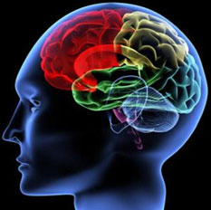 neuropsiquiatria_infanto_juvenil