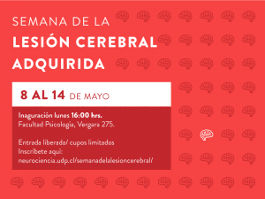 04_UDP_LesionCerebral_FB