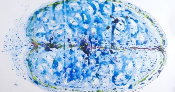 Pintura: Cristóbal Guerra, Corteza Insular 2010